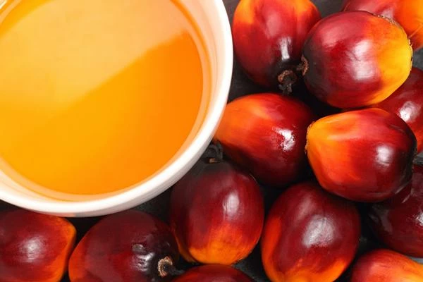 Which Country Produces the Most Palm Kernel and Babassu Oil in the World?
